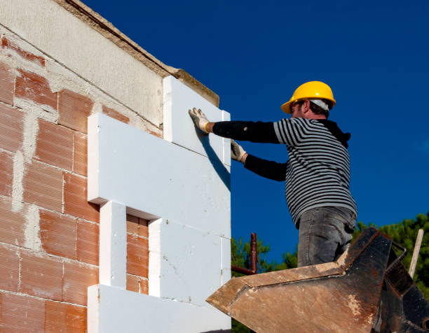 Best Insulation Removal  in Breckinridge Center, KY