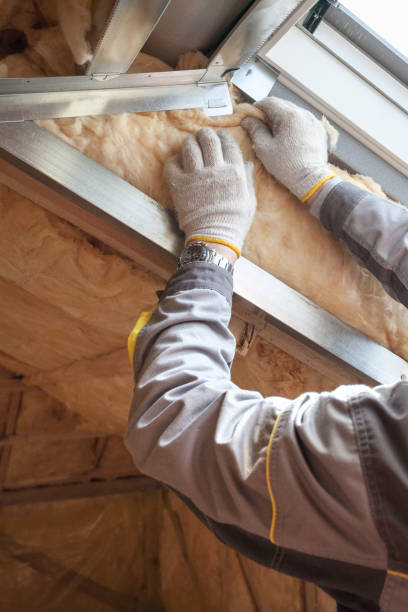 Best Cellulose Insulation  in Breckinridge Center, KY