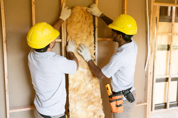 Best Insulation Inspection Services  in Breckinridge Center, KY